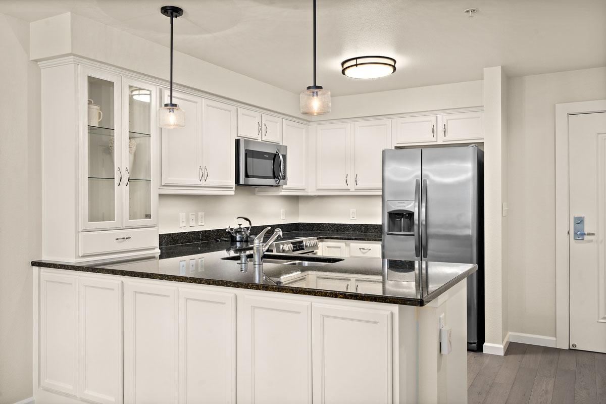 Penthouse residence kitchen.